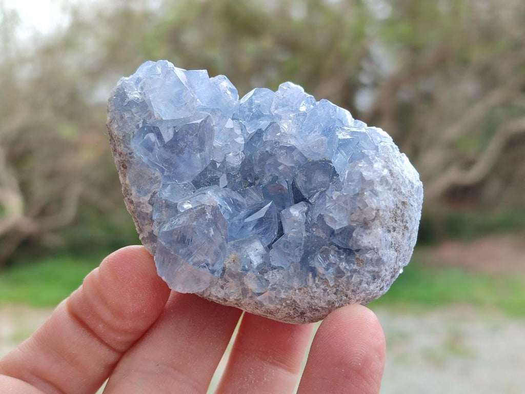 Natural Blue Celestite Specimens x 12 From Sakoany, Madagascar