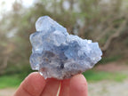 Natural Blue Celestite Specimens x 12 From Sakoany, Madagascar