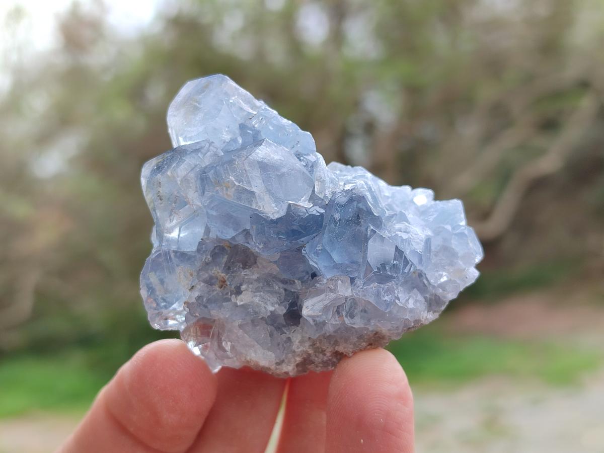 Natural Blue Celestite Specimens x 12 From Sakoany, Madagascar