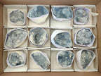 Natural Blue Celestite Specimens x 12 From Sakoany, Madagascar