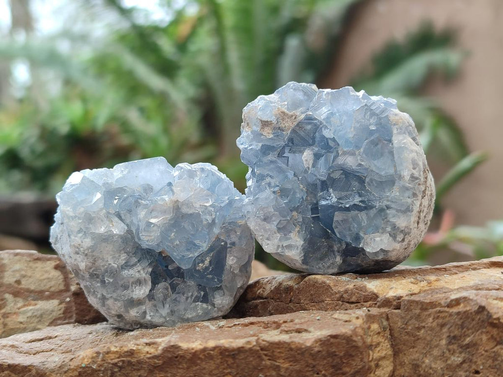Natural Blue Celestite Specimens x 12 From Sakoany, Madagascar