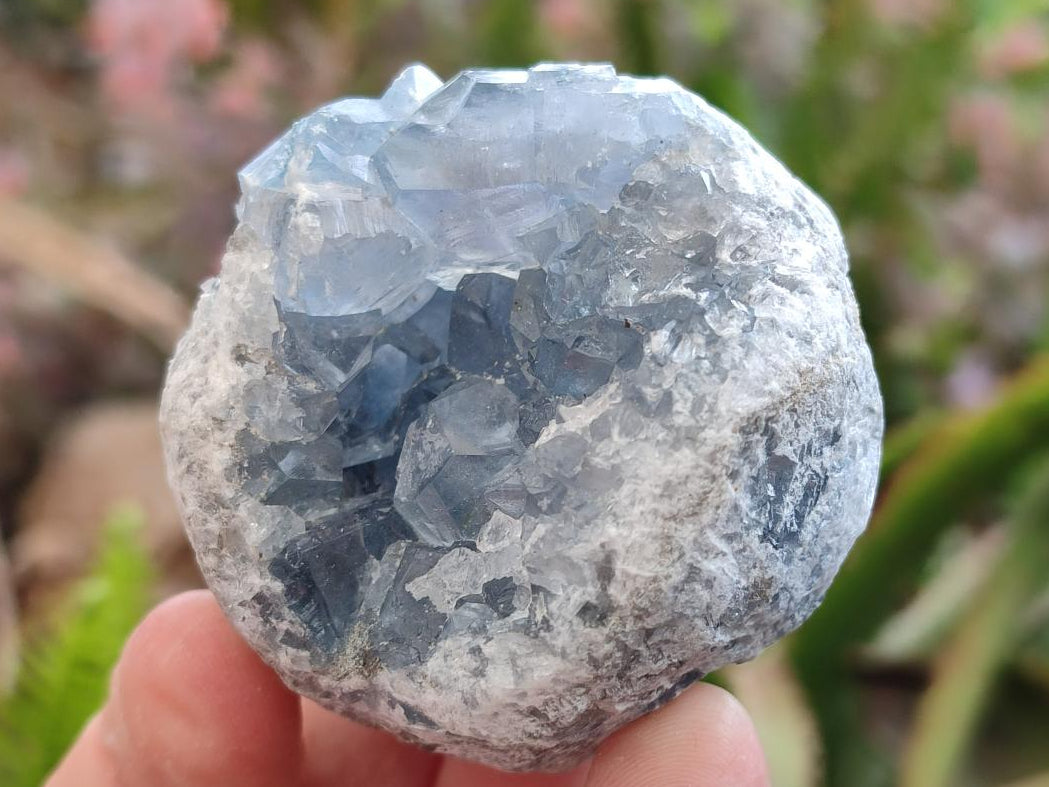 Natural Blue Celestite Specimens x 12 From Sakoany, Madagascar