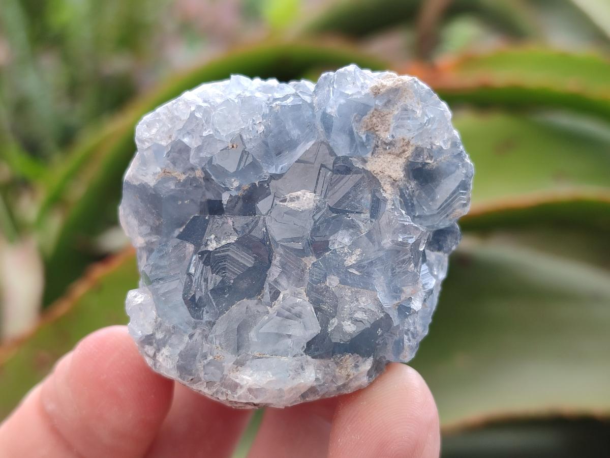 Natural Blue Celestite Specimens x 12 From Sakoany, Madagascar