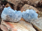 Natural Blue Celestite Specimens x 12 From Sakoany, Madagascar