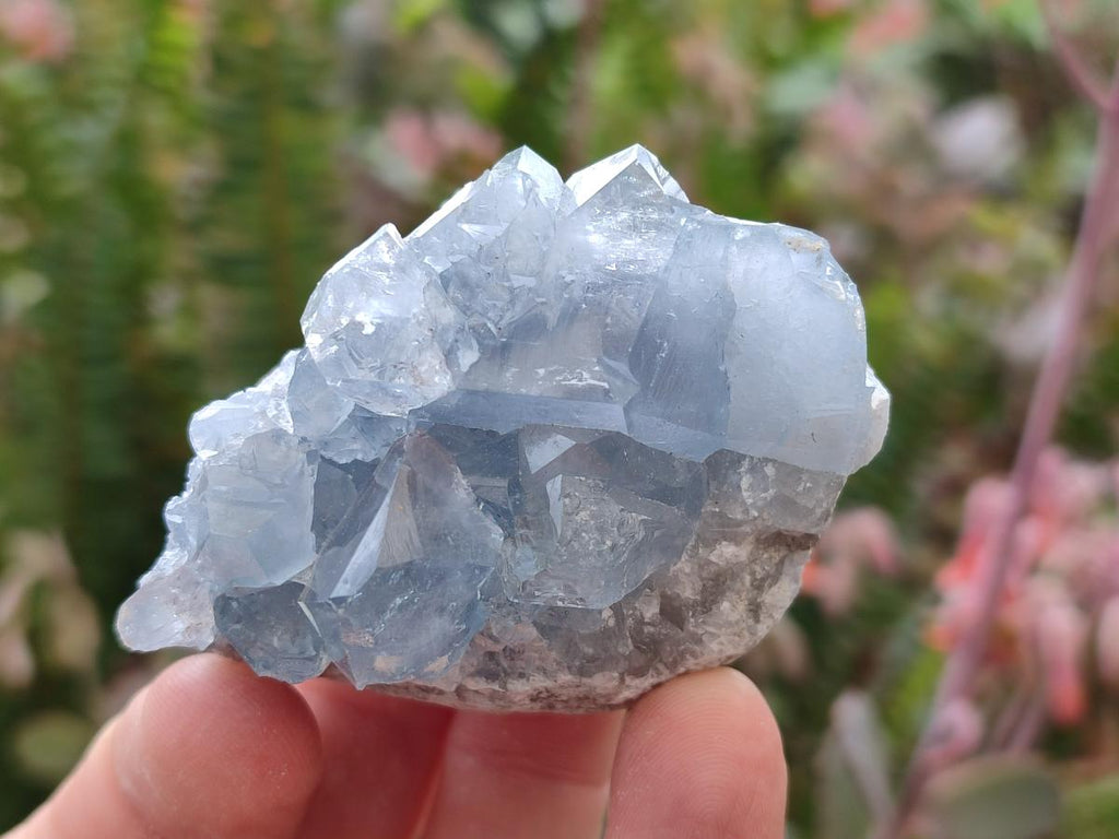 Natural Blue Celestite Specimens x 12 From Sakoany, Madagascar