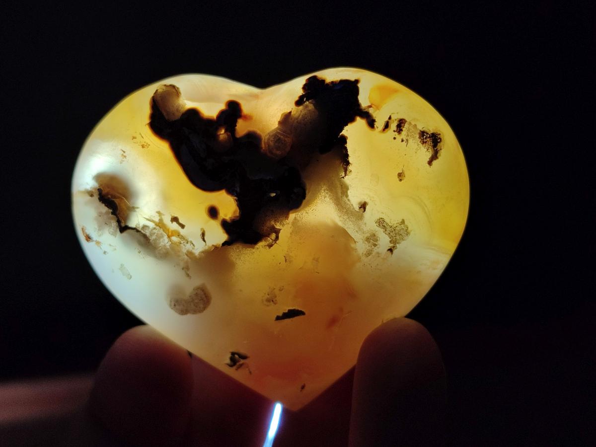 Polished and Natural Mix of Flower Agate Pieces x 6 From Antsahalova, Madagascar