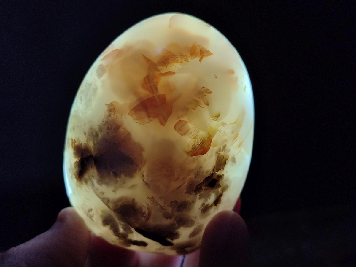 Polished and Natural Mix of Flower Agate Pieces x 6 From Antsahalova, Madagascar