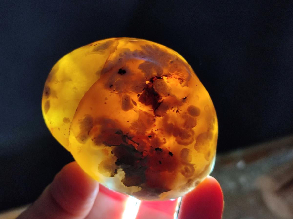Polished and Natural Mix of Flower Agate Pieces x 6 From Antsahalova, Madagascar