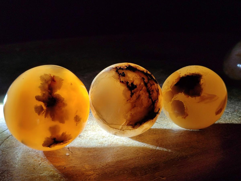 Polished and Natural Mix of Flower Agate Pieces x 6 From Antsahalova, Madagascar