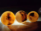 Polished and Natural Mix of Flower Agate Pieces x 6 From Antsahalova, Madagascar