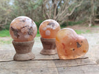 Polished and Natural Mix of Flower Agate Pieces x 6 From Antsahalova, Madagascar