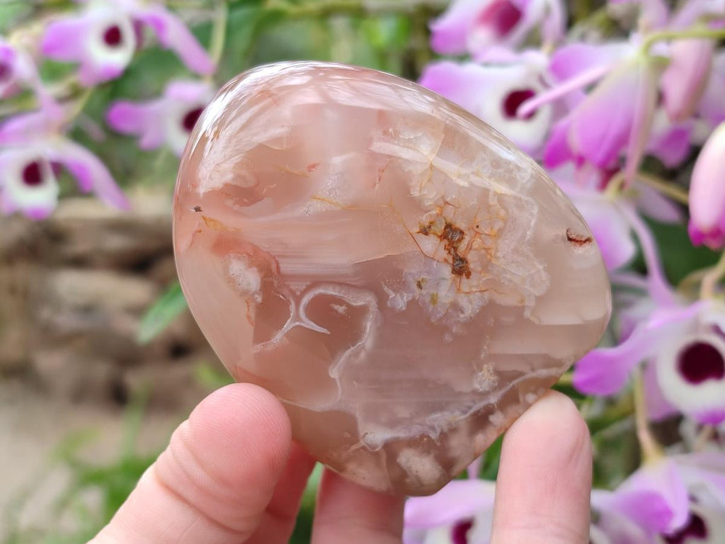 Polished and Natural Mix of Flower Agate Pieces x 6 From Antsahalova, Madagascar