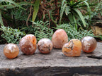 Polished and Natural Mix of Flower Agate Pieces x 6 From Antsahalova, Madagascar