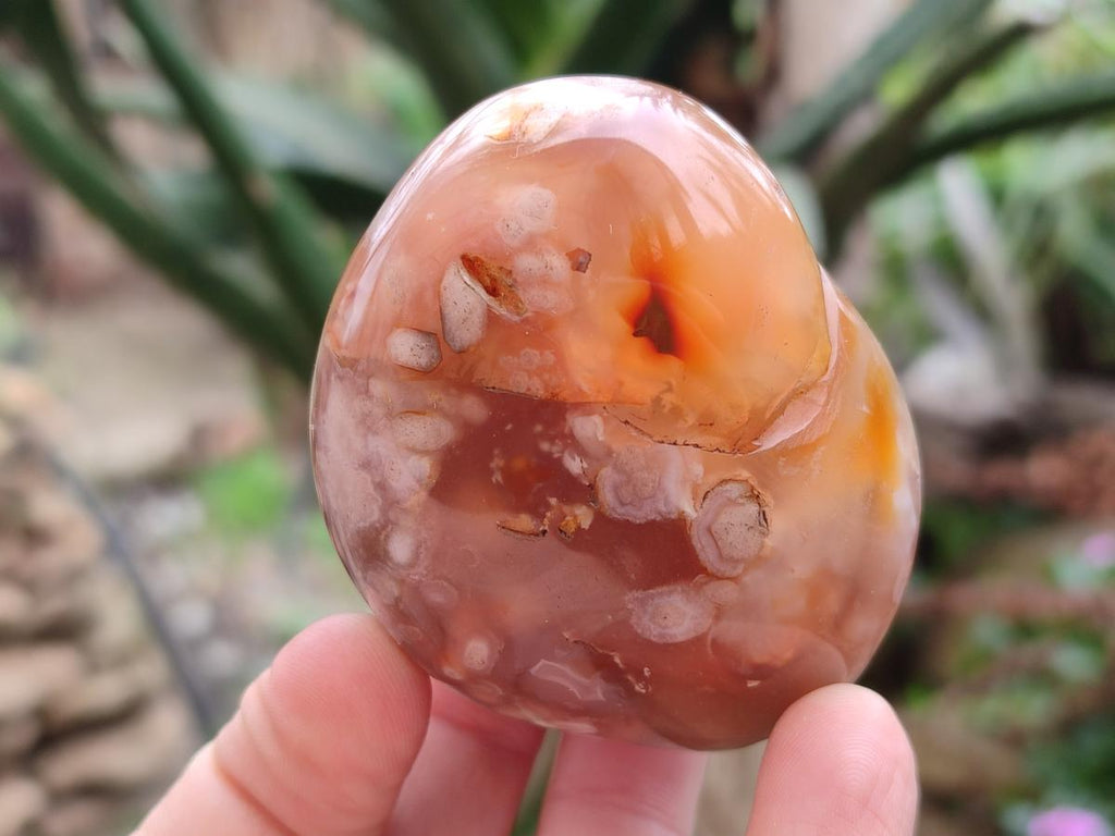 Polished and Natural Mix of Flower Agate Pieces x 6 From Antsahalova, Madagascar