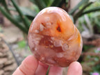Polished and Natural Mix of Flower Agate Pieces x 6 From Antsahalova, Madagascar
