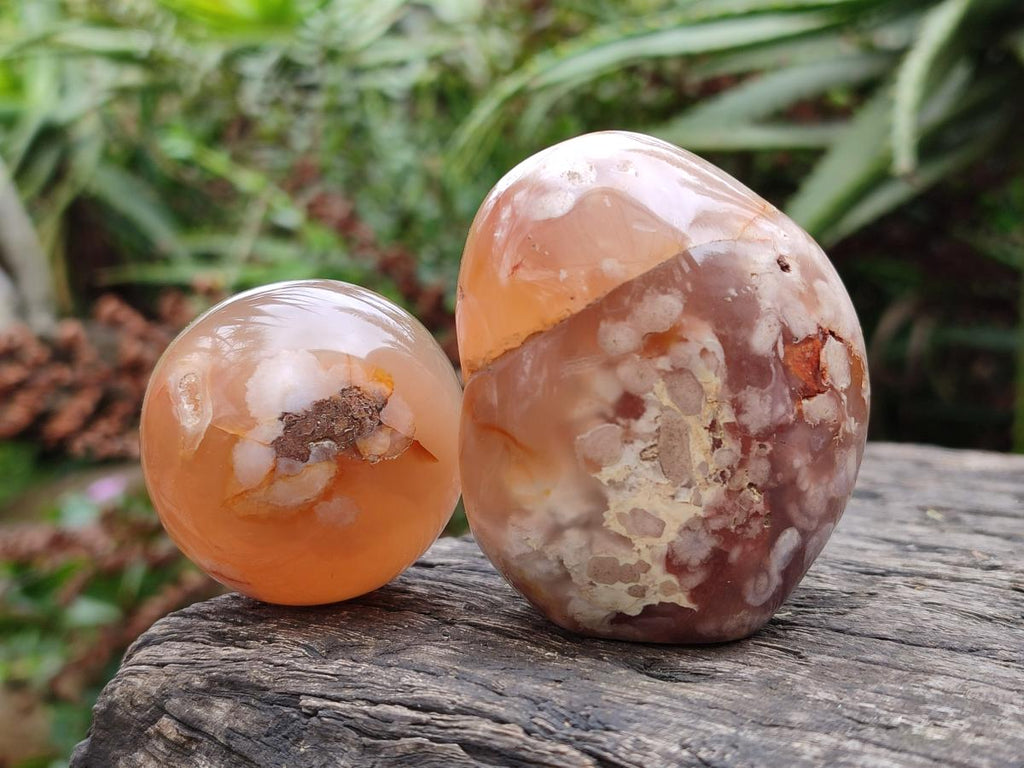 Polished and Natural Mix of Flower Agate Pieces x 6 From Antsahalova, Madagascar