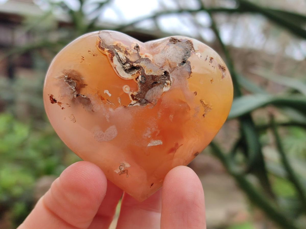 Polished and Natural Mix of Flower Agate Pieces x 6 From Antsahalova, Madagascar