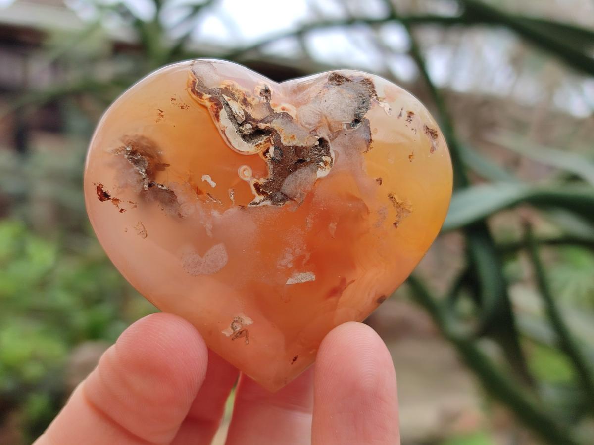 Polished and Natural Mix of Flower Agate Pieces x 6 From Antsahalova, Madagascar