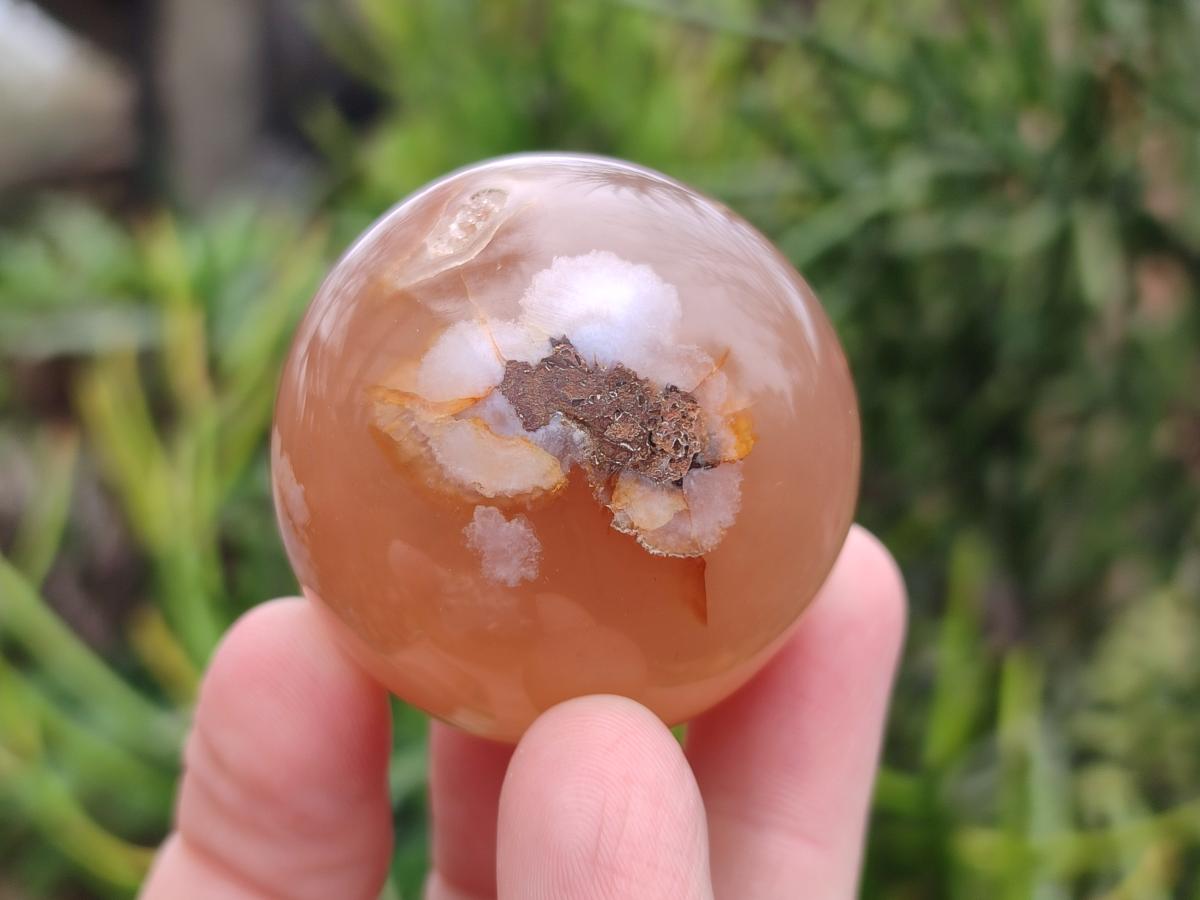 Polished and Natural Mix of Flower Agate Pieces x 6 From Antsahalova, Madagascar