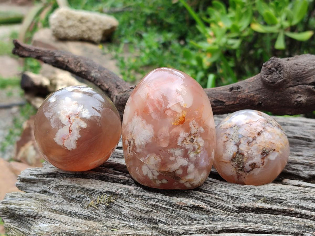 Polished and Natural Mix of Flower Agate Pieces x 6 From Antsahalova, Madagascar