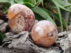 Polished and Natural Mix of Flower Agate Pieces x 6 From Antsahalova, Madagascar
