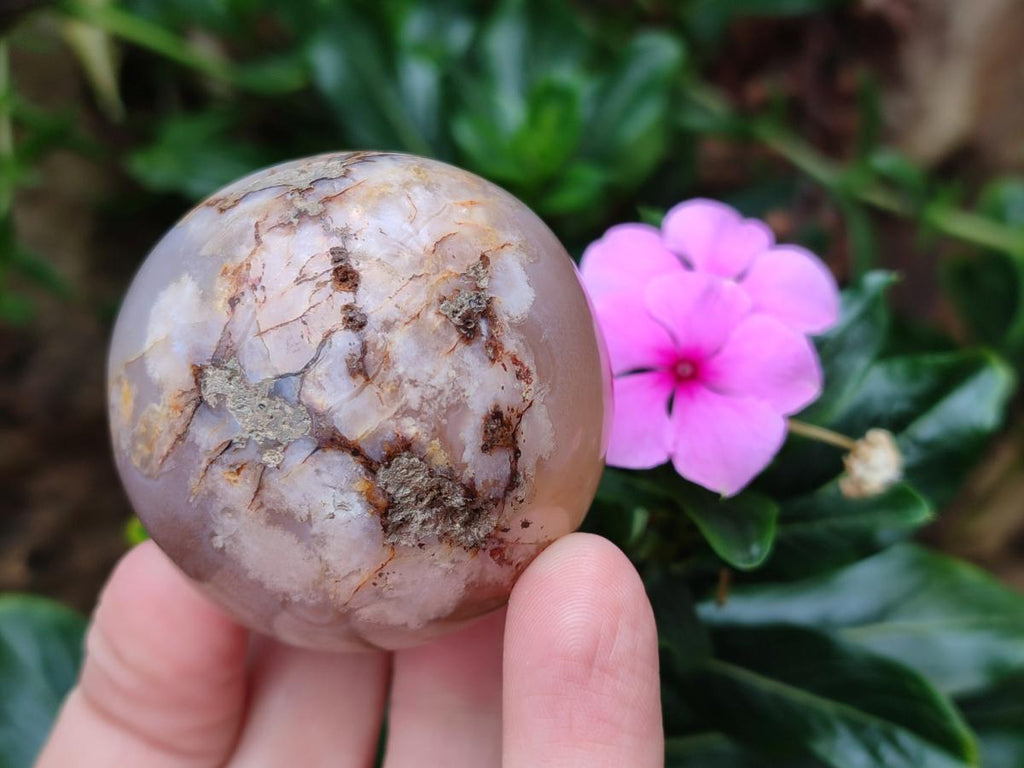 Polished and Natural Mix of Flower Agate Pieces x 6 From Antsahalova, Madagascar