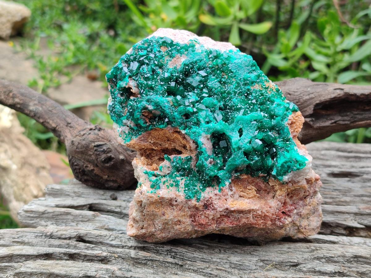 Natural Large Cabinet Size Dioptase on Dolomite Specimen x 1 From Mashamba East Mine, Congo