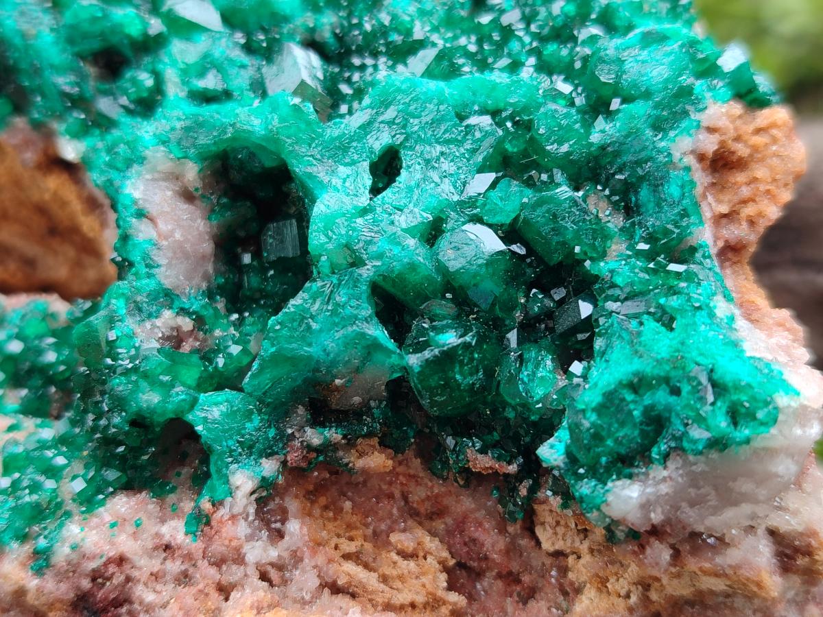 Natural Large Cabinet Size Dioptase on Dolomite Specimen x 1 From Mashamba East Mine, Congo