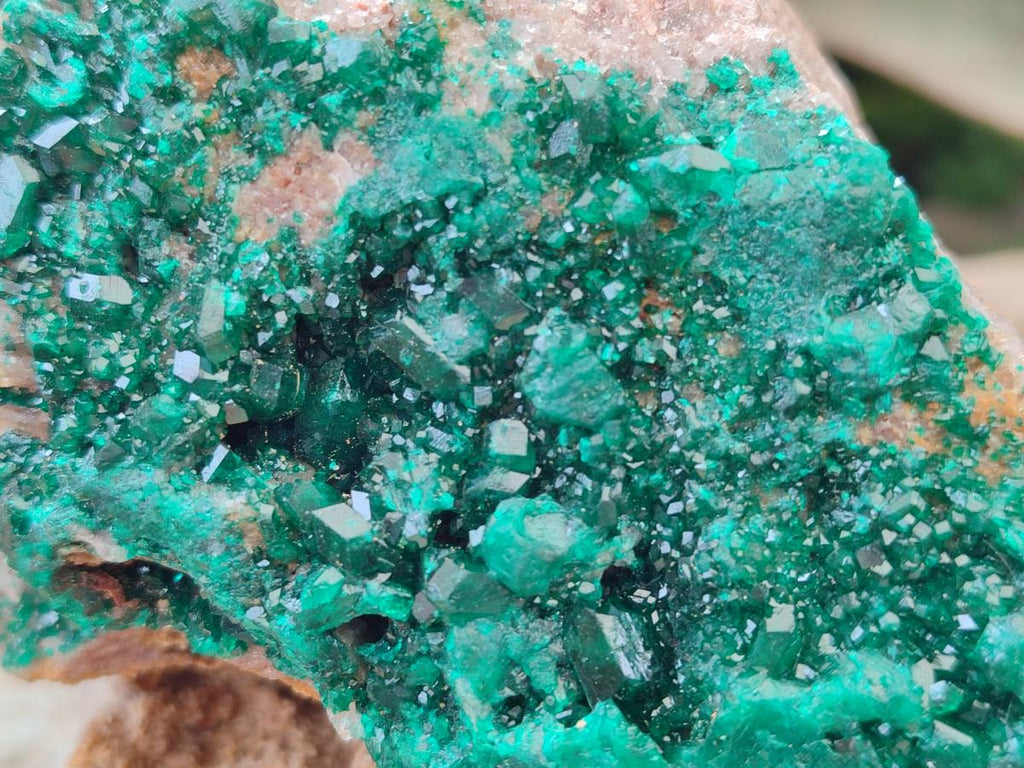 Natural Large Cabinet Size Dioptase on Dolomite Specimen x 1 From Mashamba East Mine, Congo