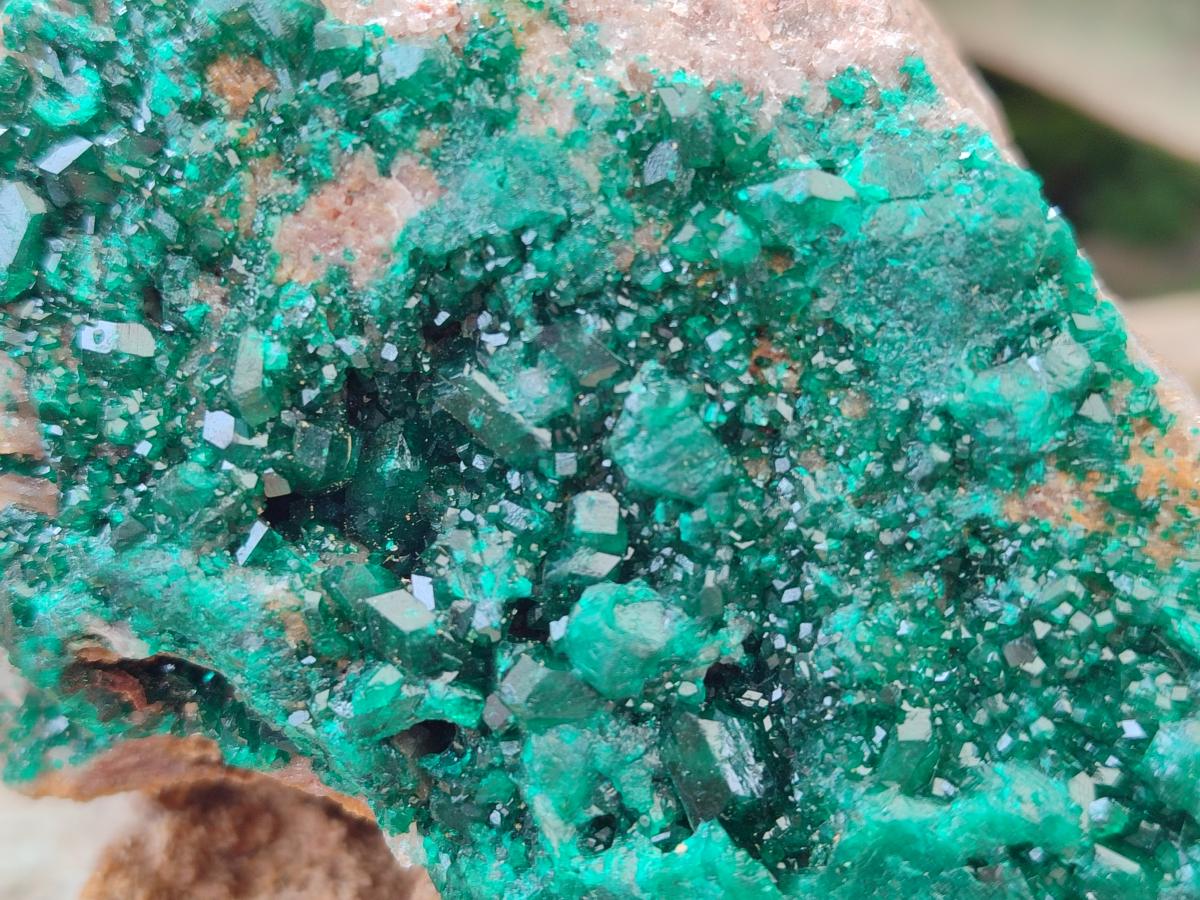 Natural Large Cabinet Size Dioptase on Dolomite Specimen x 1 From Mashamba East Mine, Congo