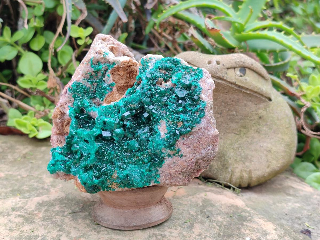 Natural Large Cabinet Size Dioptase on Dolomite Specimen x 1 From Mashamba East Mine, Congo