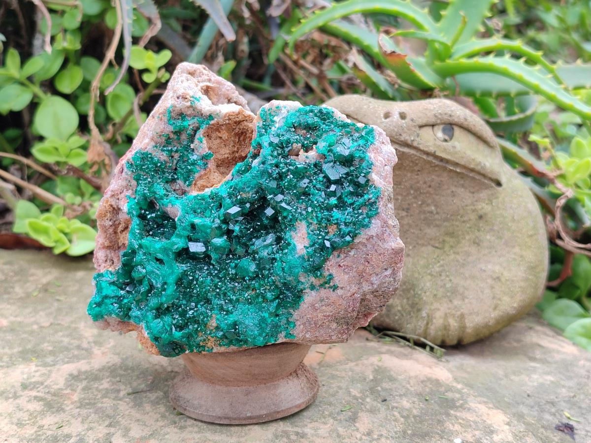Natural Large Cabinet Size Dioptase on Dolomite Specimen x 1 From Mashamba East Mine, Congo
