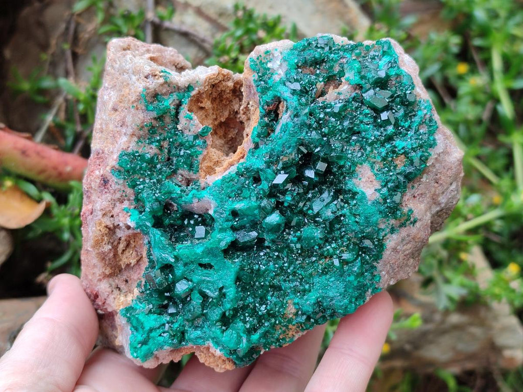 Natural Large Cabinet Size Dioptase on Dolomite Specimen x 1 From Mashamba East Mine, Congo