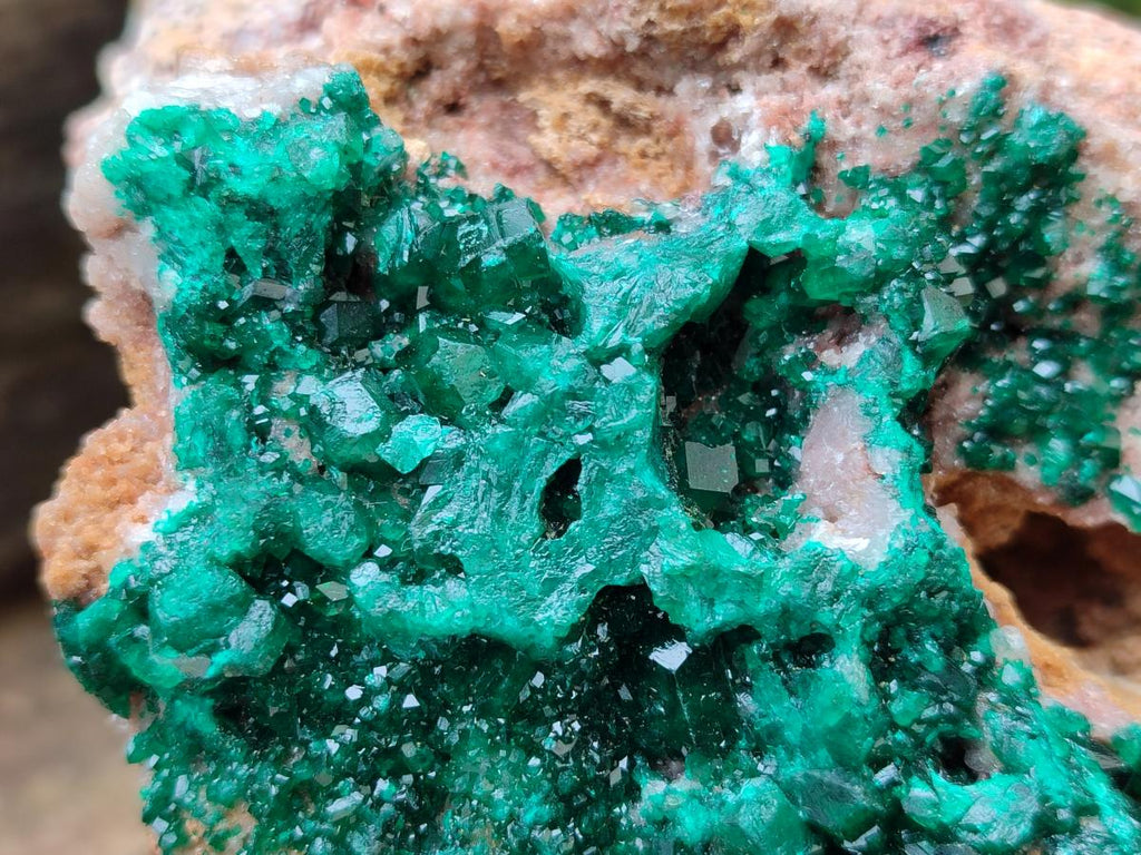 Natural Large Cabinet Size Dioptase on Dolomite Specimen x 1 From Mashamba East Mine, Congo