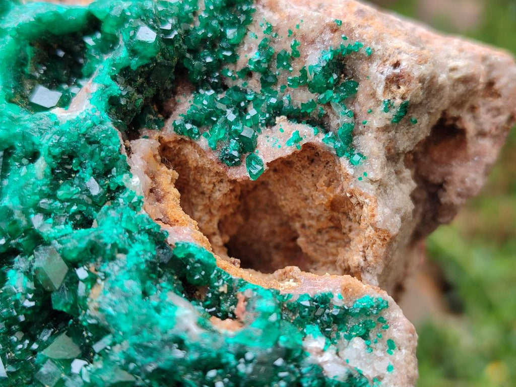 Natural Large Cabinet Size Dioptase on Dolomite Specimen x 1 From Mashamba East Mine, Congo