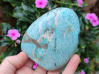 Polished Amazonite Standing Display Pieces x 4 From Madagascar