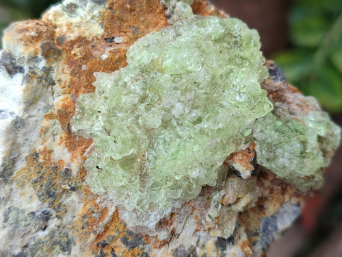 Natural Large Rare Hyalite Opal Specimens x 6 From Namibia