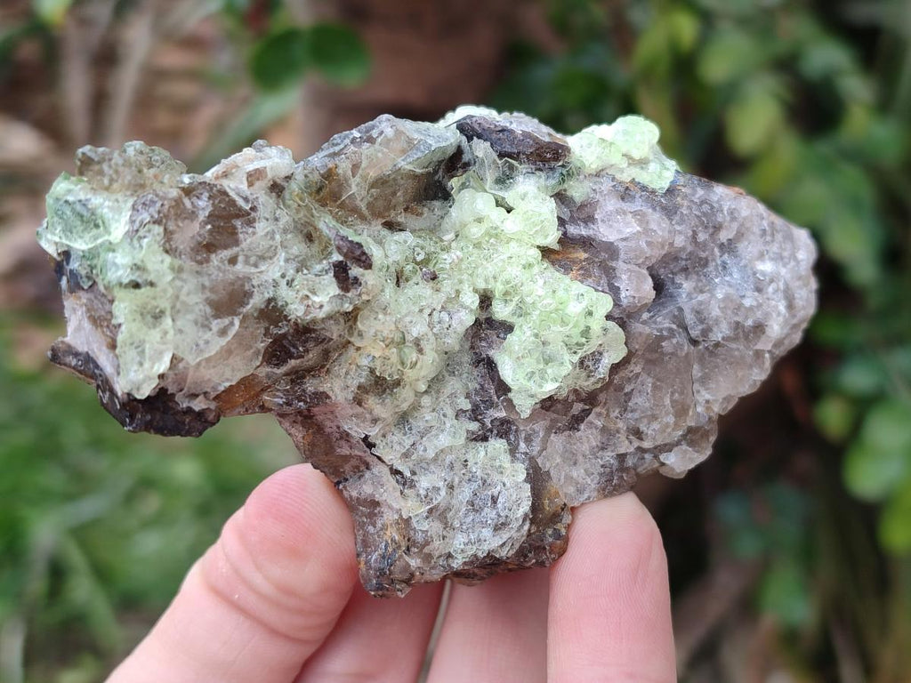 Natural Large Rare Hyalite Opal Specimens x 6 From Namibia