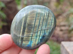Polished Labradorite Palm Stones x 12 From Madagascar