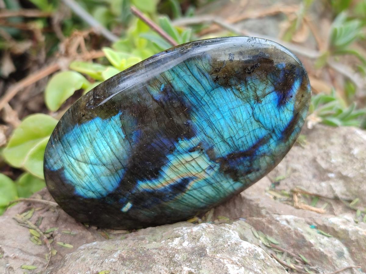 Polished Labradorite Palm Stones x 12 From Madagascar
