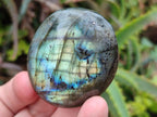 Polished Labradorite Palm Stones x 12 From Madagascar
