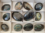 Polished Labradorite Palm Stones x 12 From Madagascar