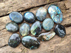 Polished Labradorite Palm Stones x 12 From Madagascar