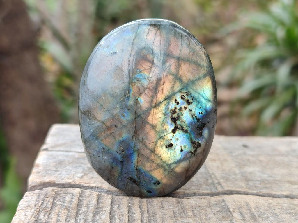 Polished Labradorite Palm Stones x 12 From Madagascar