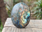 Polished Labradorite Palm Stones x 12 From Madagascar