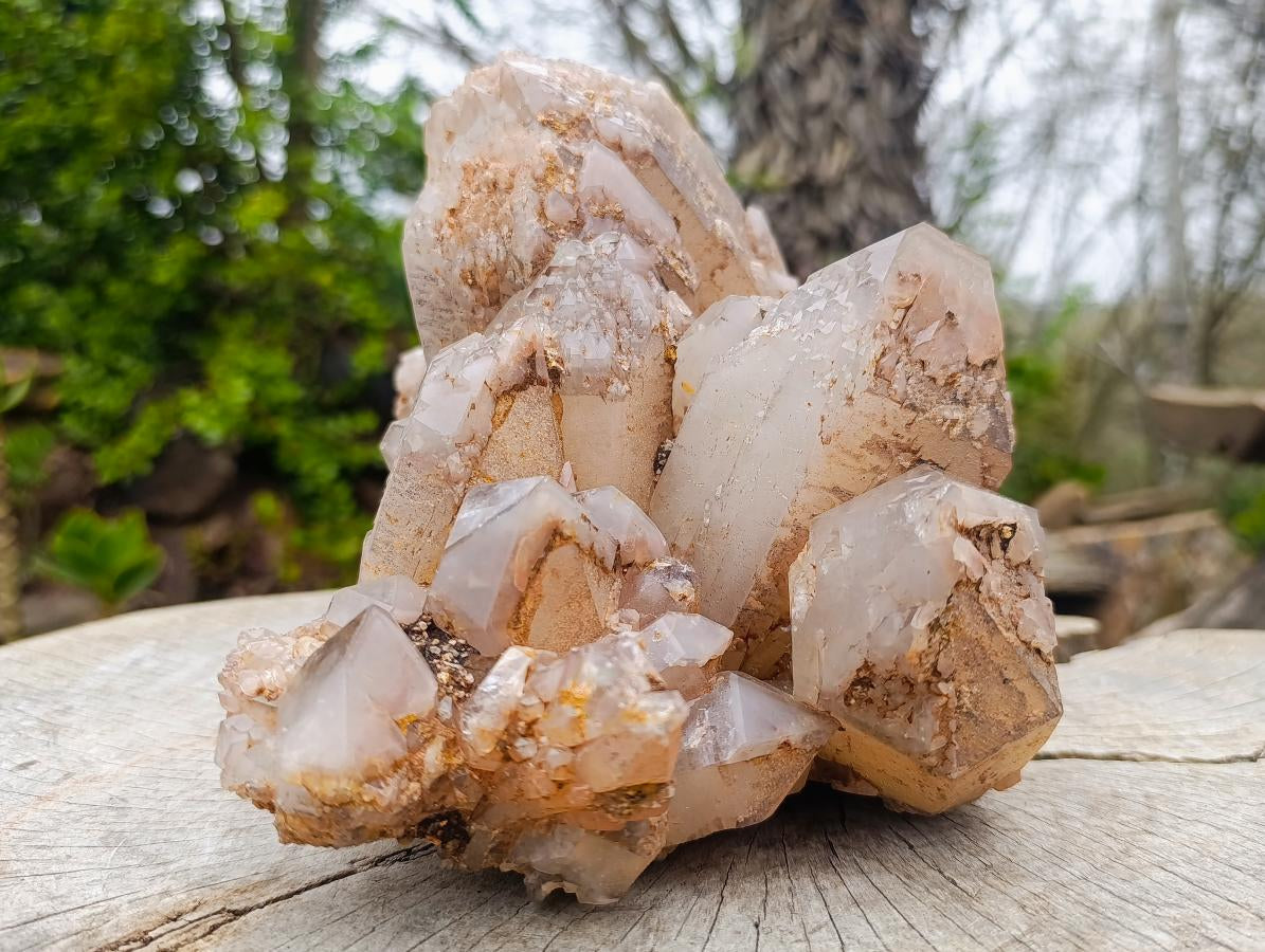 Natural XL Red Hematoid Quartz Cluster x 1 From Karoi, Zimbabwe