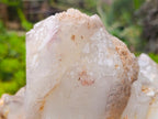 Natural XL Red Hematoid Quartz Cluster x 1 From Karoi, Zimbabwe