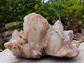 Natural XL Red Hematoid Quartz Cluster x 1 From Karoi, Zimbabwe
