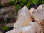 Natural XL Red Hematoid Quartz Cluster x 1 From Karoi, Zimbabwe