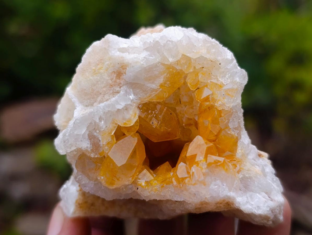 Natural Limonite Quartz Clusters x 24 From Solwezi, Zambia
